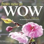 from now to WOW book cover