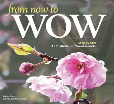 from now to WOW book cover