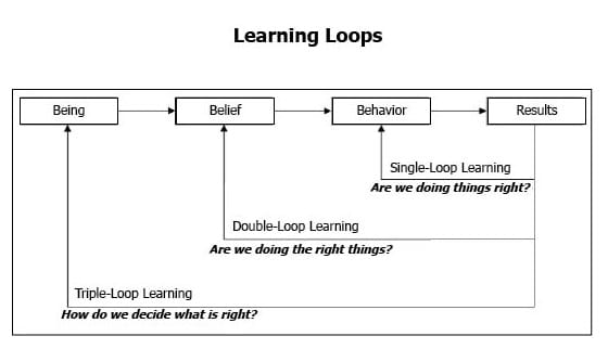 image explaining single-, double- and triple-loop learning