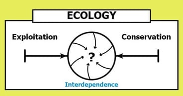 Ecology continuum converges between exploitation and conservation to become interdependence