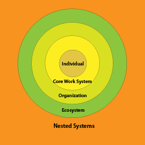 bull's eye image of a nested system of individual, core work system, organization, ecosystem