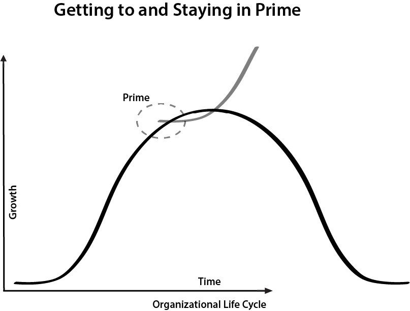 Life Cycle Graph