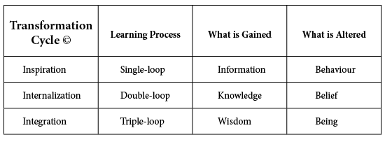 Transformation Cycle