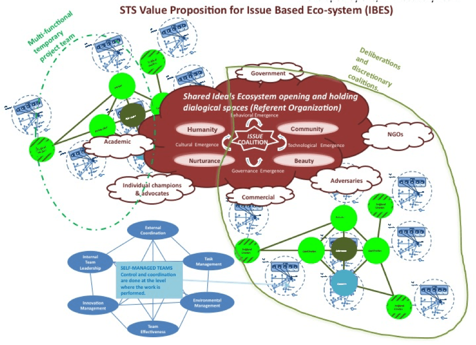 STS Value Proposition for IBES