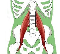 Lengthening Psoas